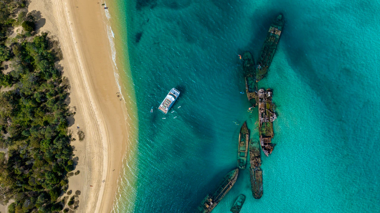 Tangalooma Wrecks & Dolphin Cruise with Transfer